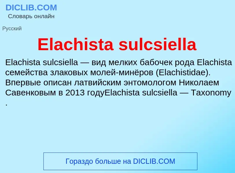 Что такое Elachista sulcsiella - определение