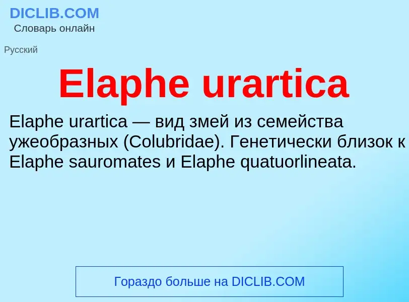 Что такое Elaphe urartica - определение