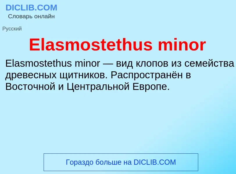 Что такое Elasmostethus minor - определение