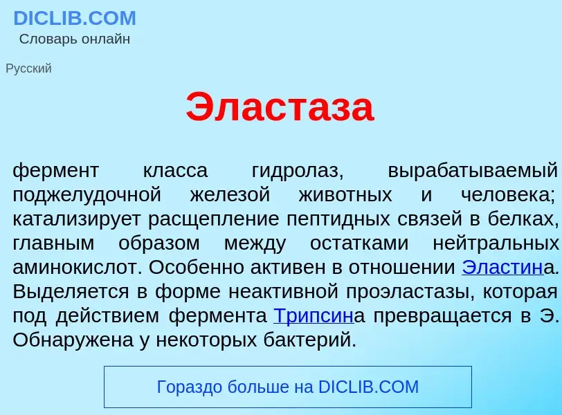 Was ist Эласт<font color="red">а</font>за - Definition