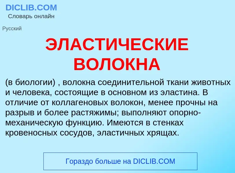 Τι είναι ЭЛАСТИЧЕСКИЕ ВОЛОКНА - ορισμός