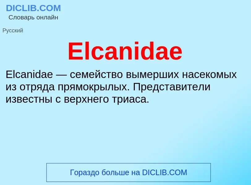 Что такое Elcanidae - определение