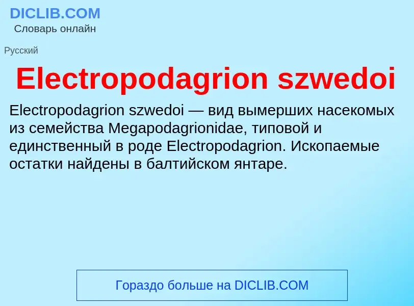 Что такое Electropodagrion szwedoi - определение