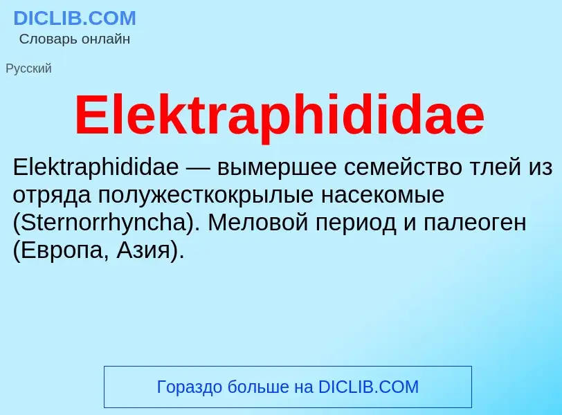 Что такое Elektraphididae - определение