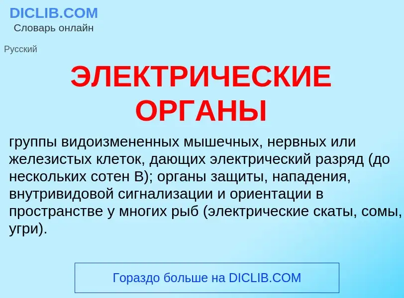 Что такое ЭЛЕКТРИЧЕСКИЕ ОРГАНЫ - определение