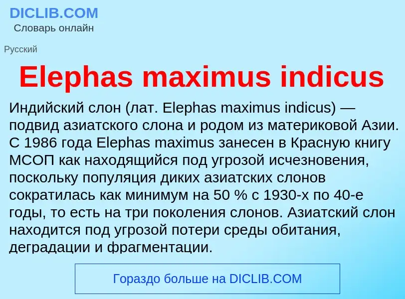 Что такое Elephas maximus indicus - определение