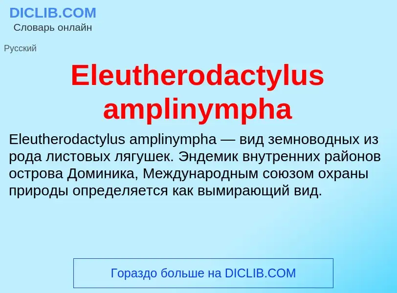 Что такое Eleutherodactylus amplinympha - определение