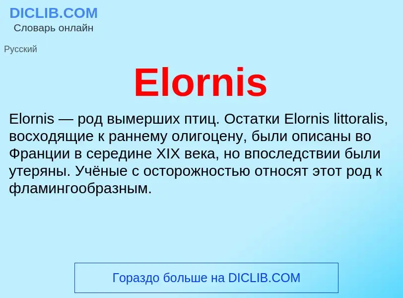 Что такое Elornis - определение