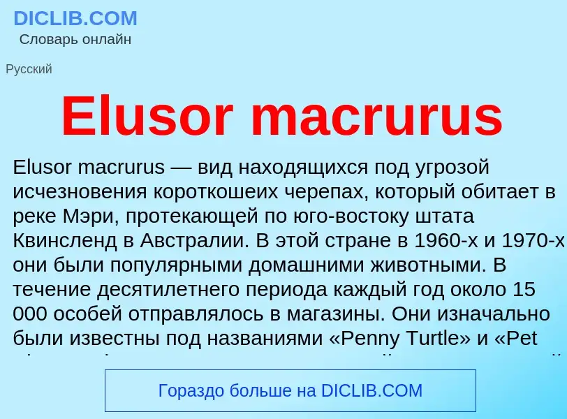 Что такое Elusor macrurus - определение