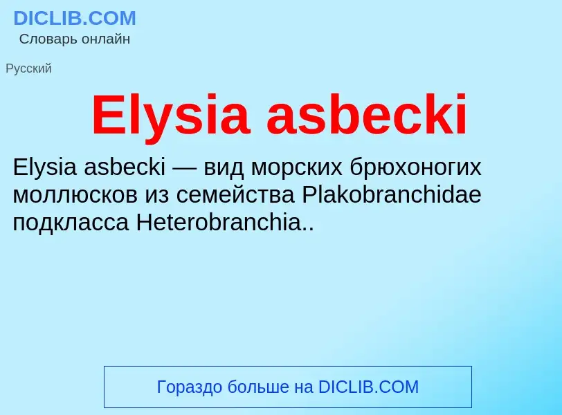 Что такое Elysia asbecki - определение