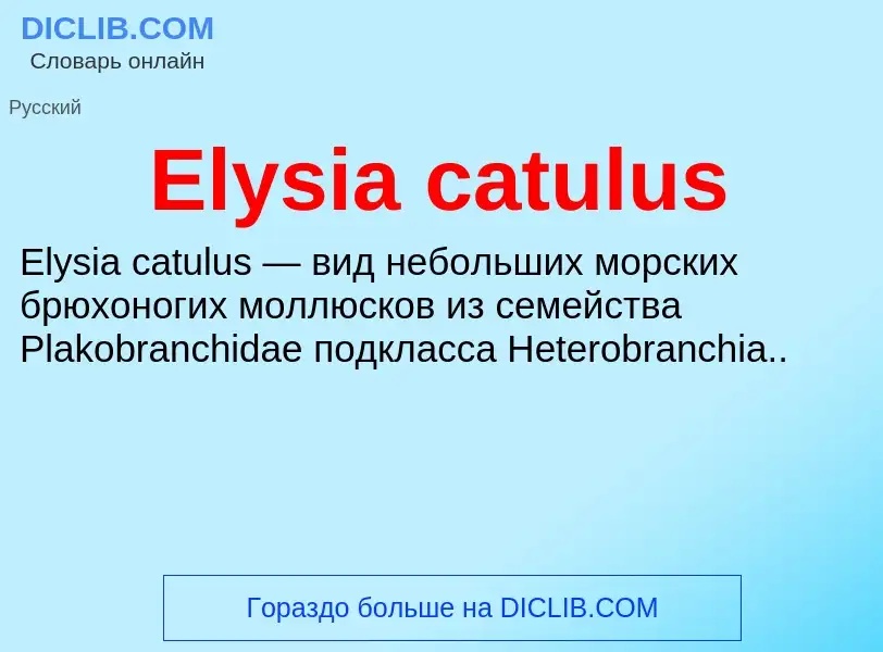 Что такое Elysia catulus - определение