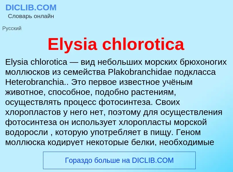 Что такое Elysia chlorotica - определение