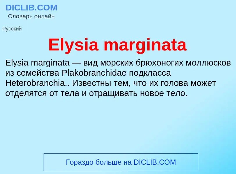 Что такое Elysia marginata - определение