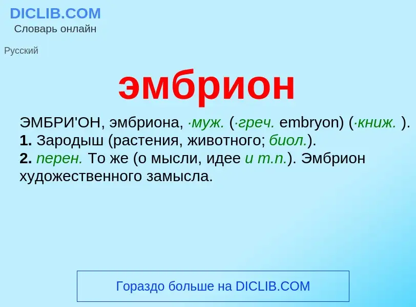 What is эмбрион - definition