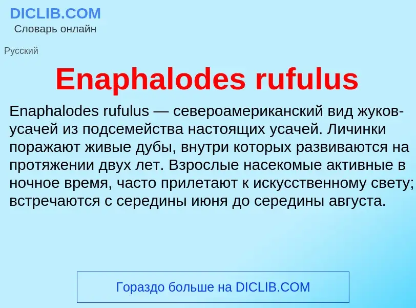 Что такое Enaphalodes rufulus - определение