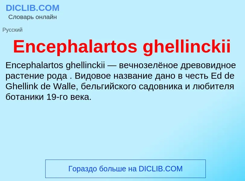 Что такое Encephalartos ghellinckii - определение