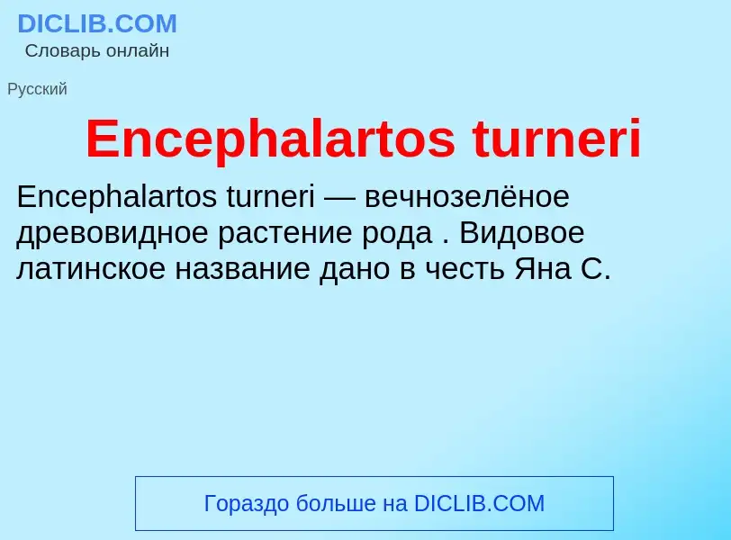 Что такое Encephalartos turneri - определение