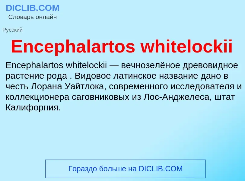 Что такое Encephalartos whitelockii - определение