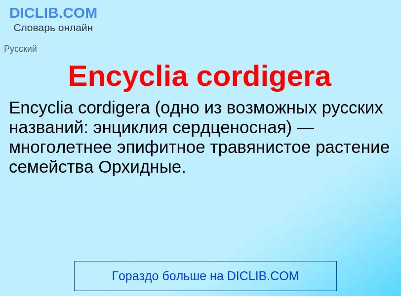 Что такое Encyclia cordigera - определение