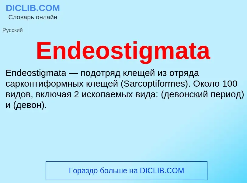 Что такое Endeostigmata - определение