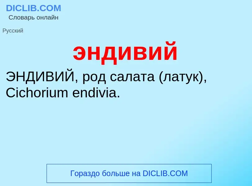 ¿Qué es эндивий? - significado y definición