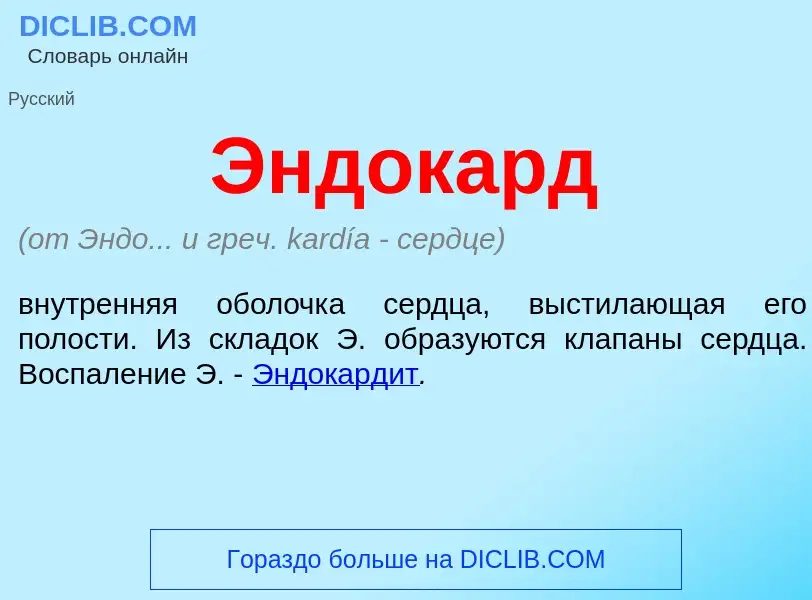 O que é Эндокард - definição, significado, conceito