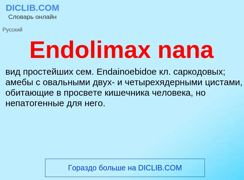 Что такое Endolimax nana - определение