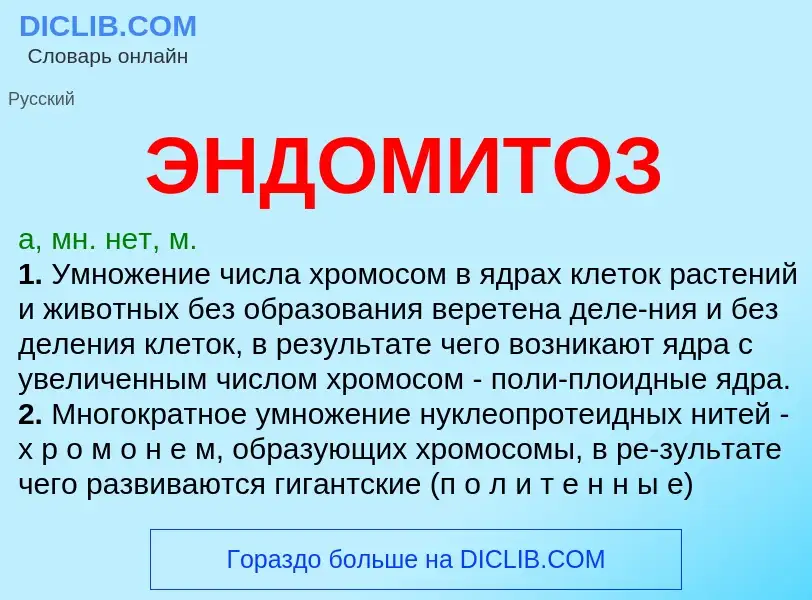 ¿Qué es ЭНДОМИТОЗ? - significado y definición