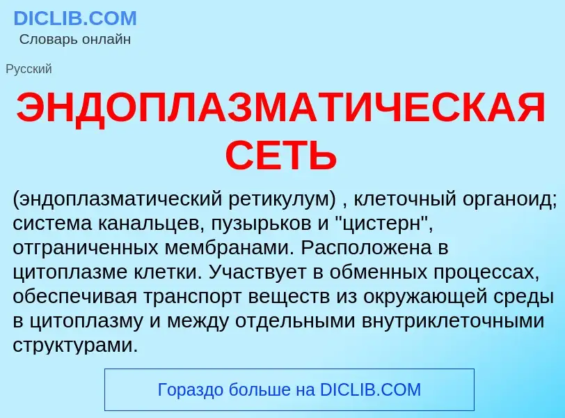 O que é ЭНДОПЛАЗМАТИЧЕСКАЯ СЕТЬ - definição, significado, conceito