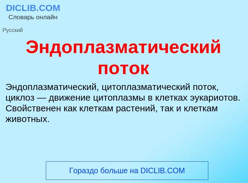 What is Эндоплазматический поток - definition