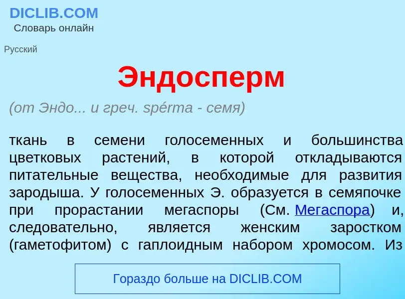 Что такое Эндосп<font color="red">е</font>рм - определение