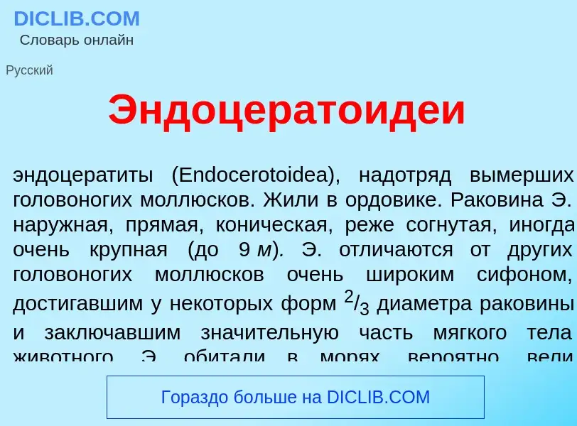 What is Эндоцератоид<font color="red">е</font>и - meaning and definition