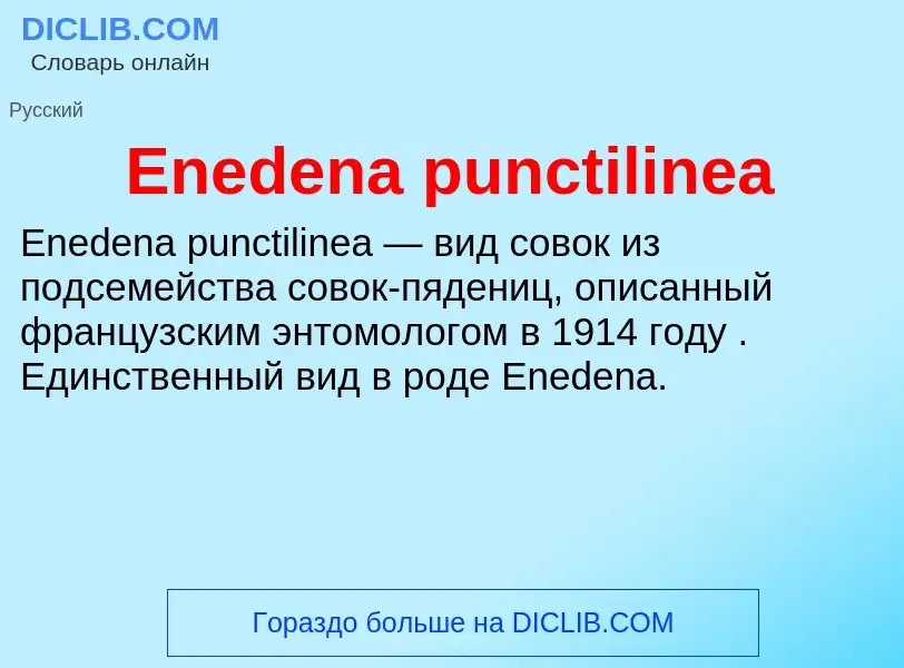 Что такое Enedena punctilinea - определение