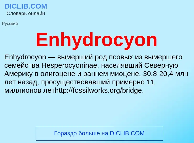 Что такое Enhydrocyon - определение