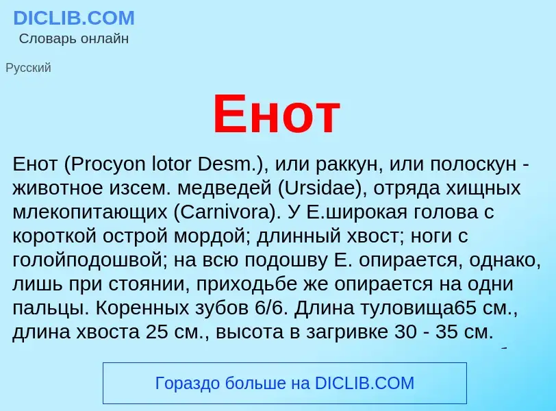 Что такое Енот - определение