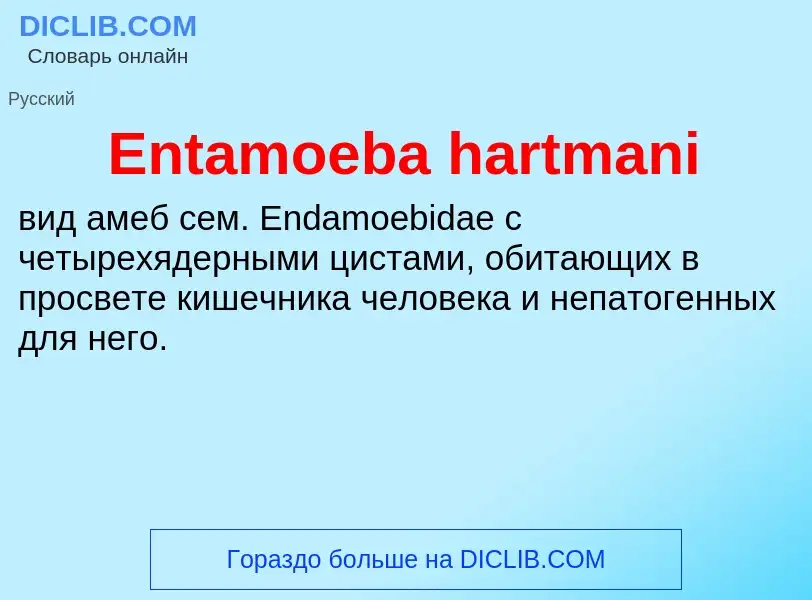 Что такое Entamoeba hartmani - определение