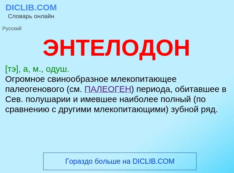 ¿Qué es ЭНТЕЛОДОН? - significado y definición