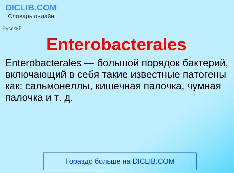 Что такое Enterobacterales - определение