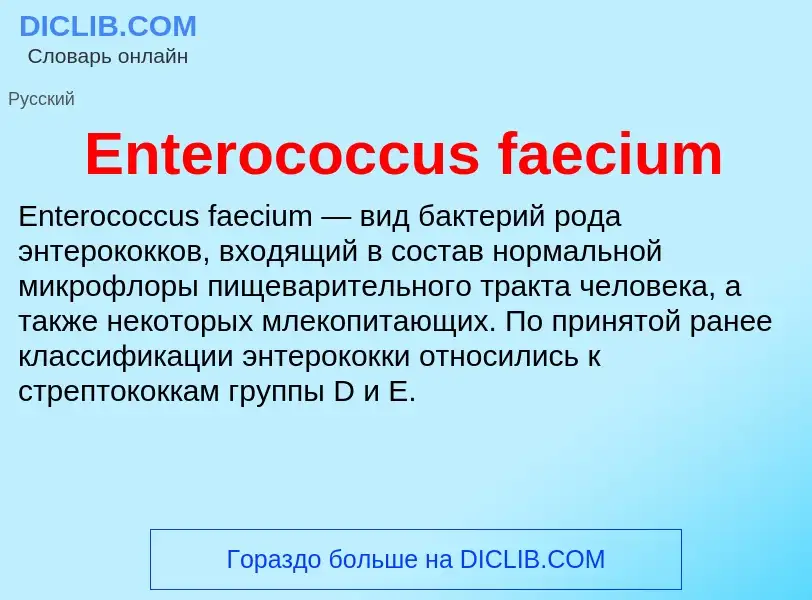 Что такое Enterococcus faecium - определение