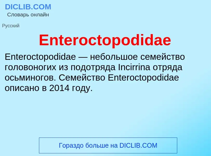 Что такое Enteroctopodidae - определение