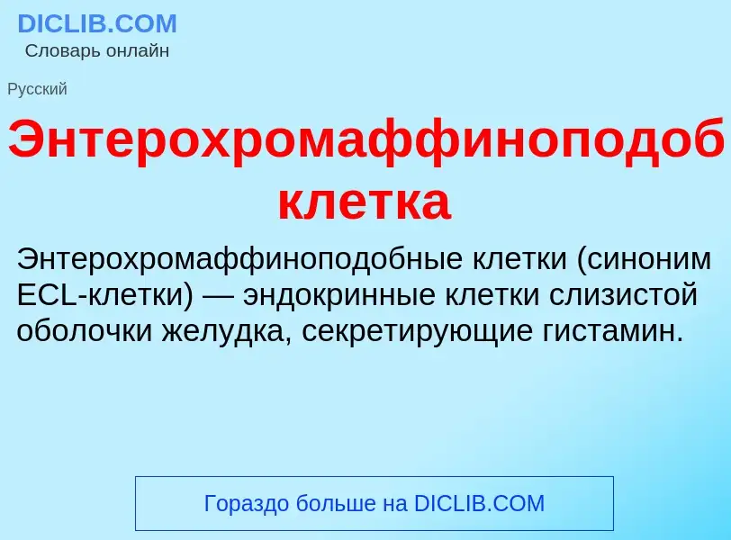 O que é Энтерохромаффиноподобная клетка - definição, significado, conceito