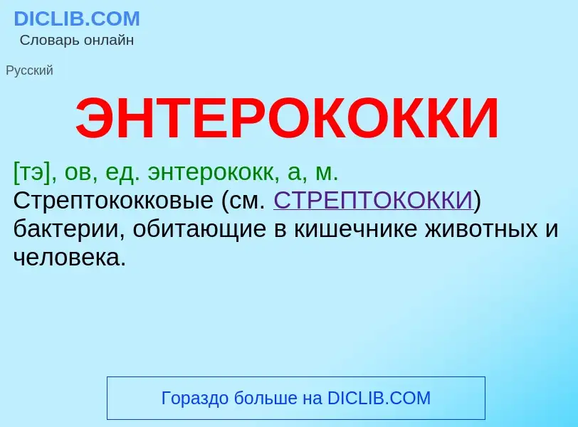 ¿Qué es ЭНТЕРОКОККИ? - significado y definición