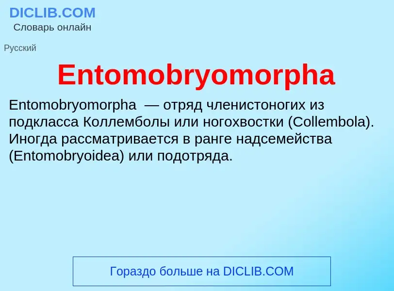 Что такое Entomobryomorpha - определение