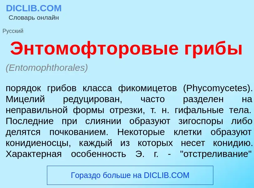 O que é Энтомофт<font color="red">о</font>ровые гриб<font color="red">ы</font> - definição, signific