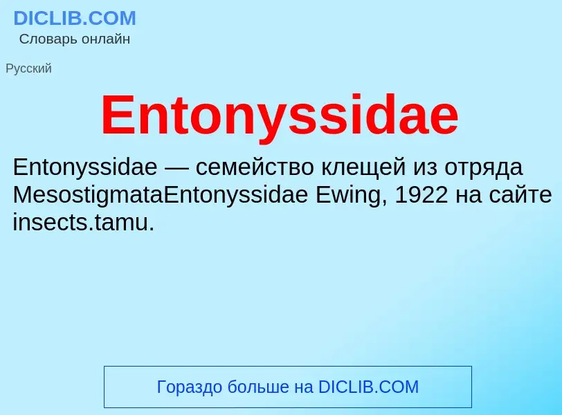 Что такое Entonyssidae - определение