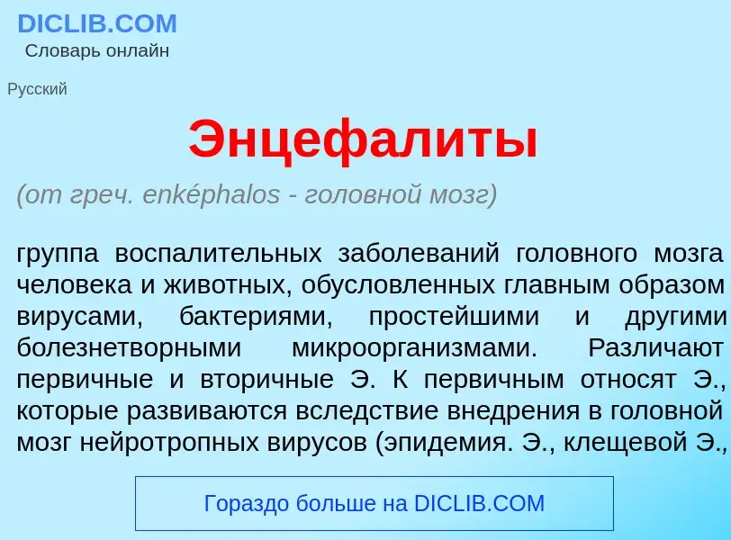 Что такое Энцефал<font color="red">и</font>ты - определение