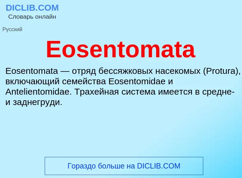 Что такое Eosentomata - определение