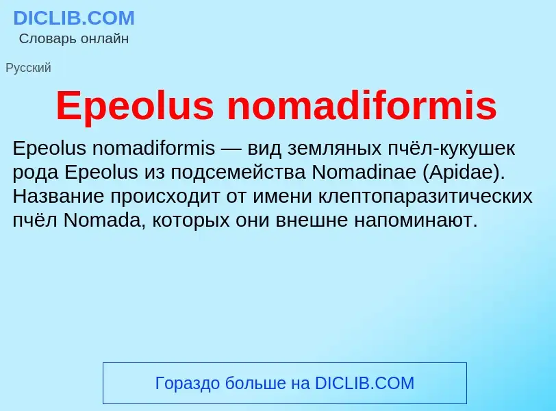 Что такое Epeolus nomadiformis - определение