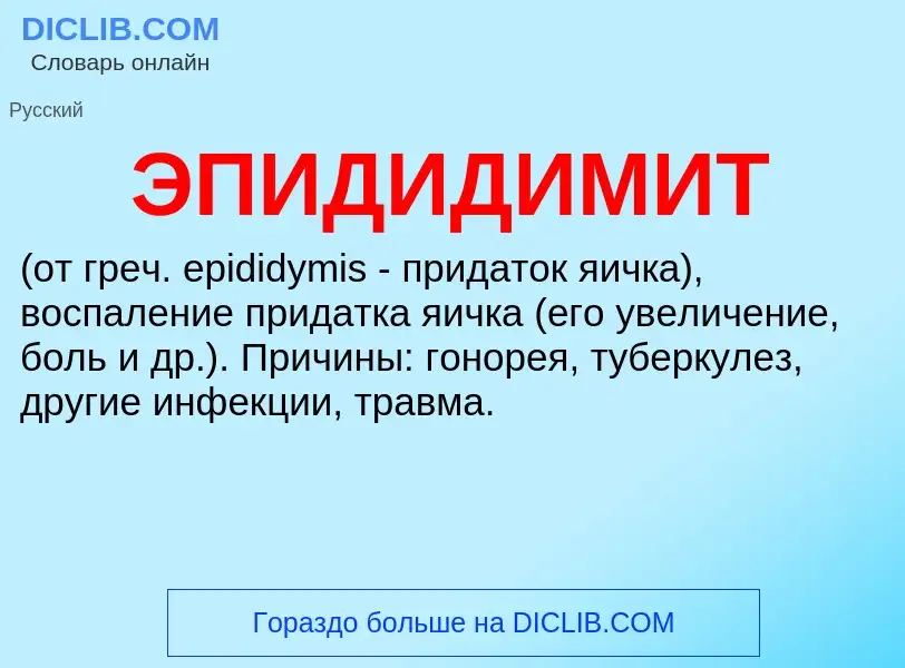 O que é ЭПИДИДИМИТ - definição, significado, conceito
