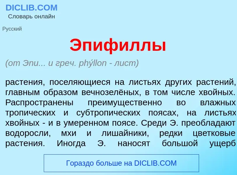 Что такое Эпиф<font color="red">и</font>ллы - определение